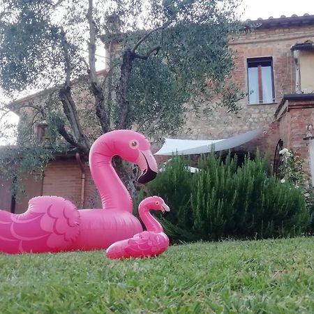 Agli Olivi Di Marciano Apartment Siena Bagian luar foto