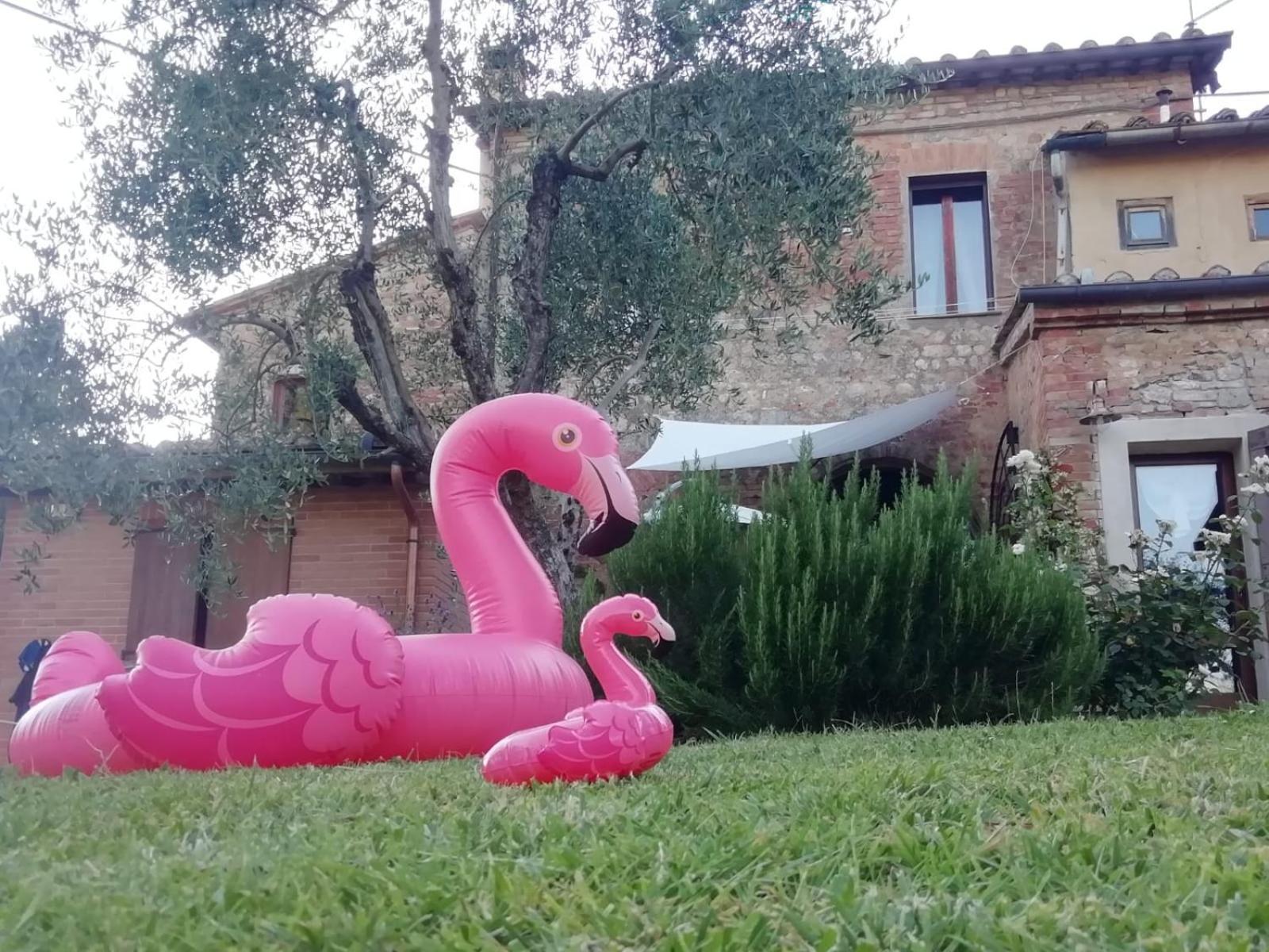 Agli Olivi Di Marciano Apartment Siena Bagian luar foto