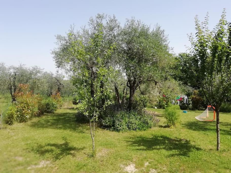 Agli Olivi Di Marciano Apartment Siena Bagian luar foto